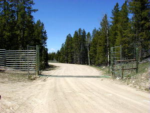Special bear fences