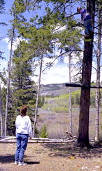 Speed tree climbing