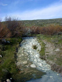 Green River tributary, home of the Green River Dart