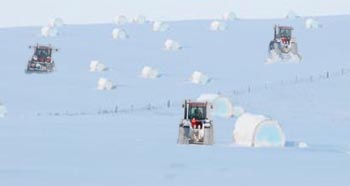 compressed natural snow bales